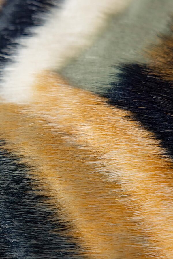 Cushion – Golden Horizon - Image 6