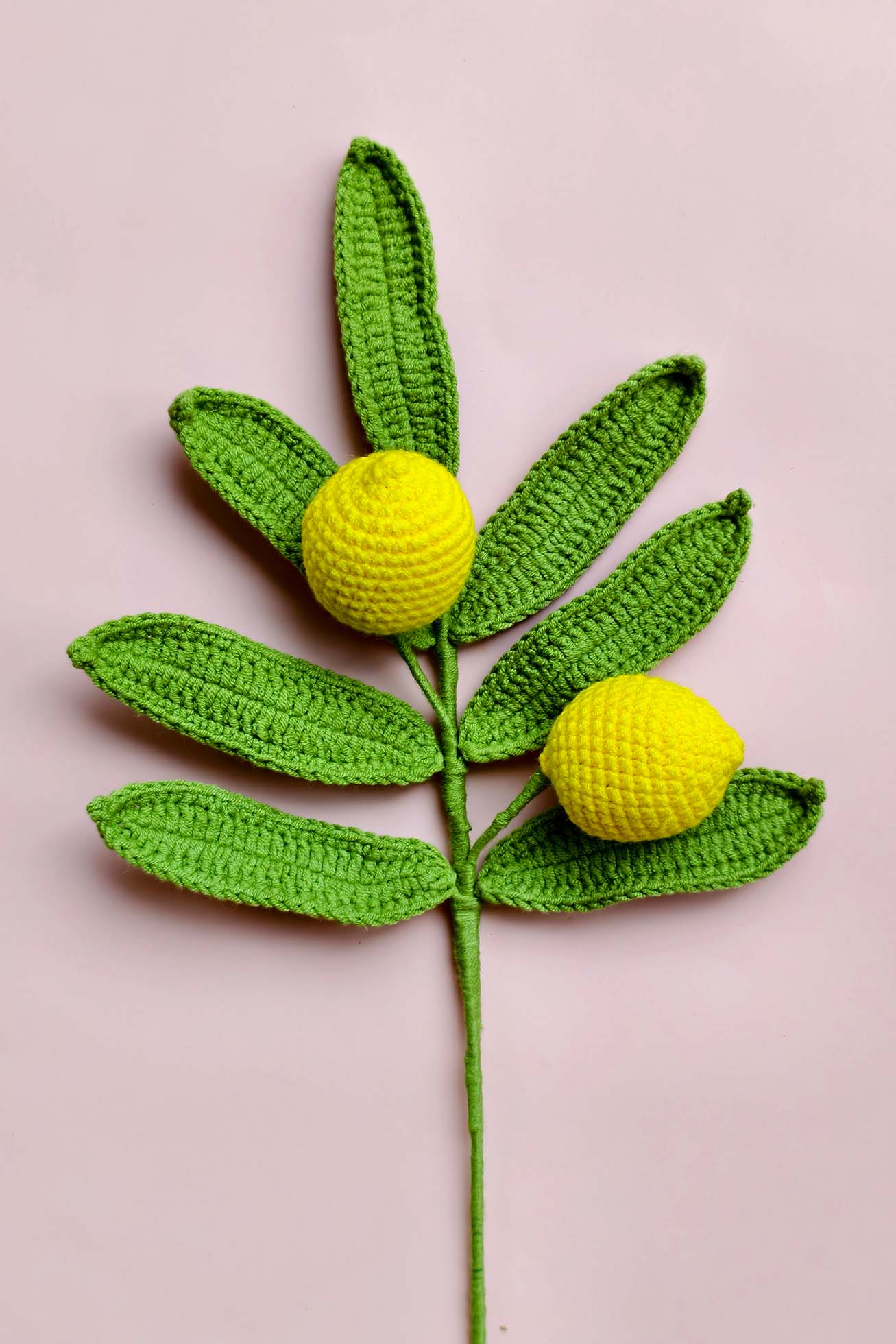 Lemon Garden - Image 2