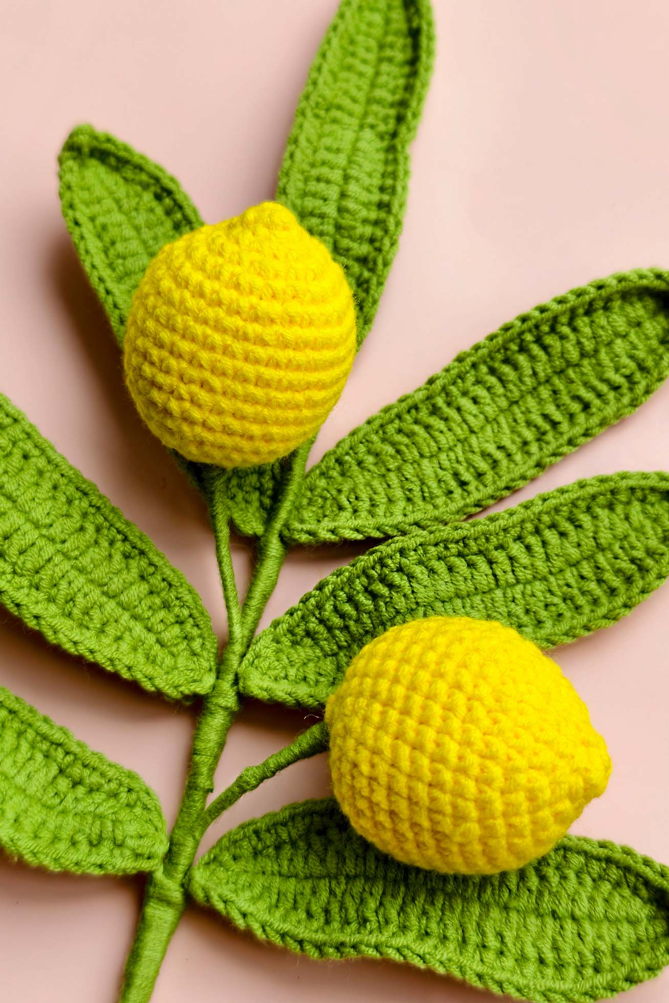 Lemon Garden - Image 3